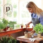 Planters' Choice 9 Herb Indoor Window Garden Kit - House Plants Seeds - Best Unique Easter Gift Ideas for Women, Mom, Friend, Her, Birthday, Housewarming, Mother - New Home Kitchen Gifts - Image 4