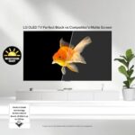 LG 65-Inch Class OLED evo AI 4K C5 Series Smart TV w/Dolby Atmos, Dolby Vision, HDR10, AI Super Upscaling 4K, Filmmaker Mode, Wow Orchestra, Alexa Built-in (OLED65C5PUA, 2025) - Image 5